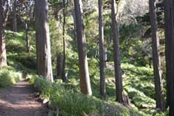 dog park in san francisco