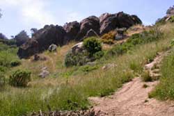 dog park in san francisco