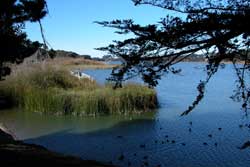 dog park in san francisco