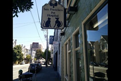 vet in san francisco, california