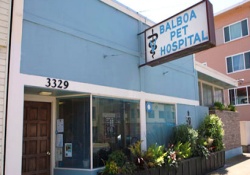 vet in san francisco